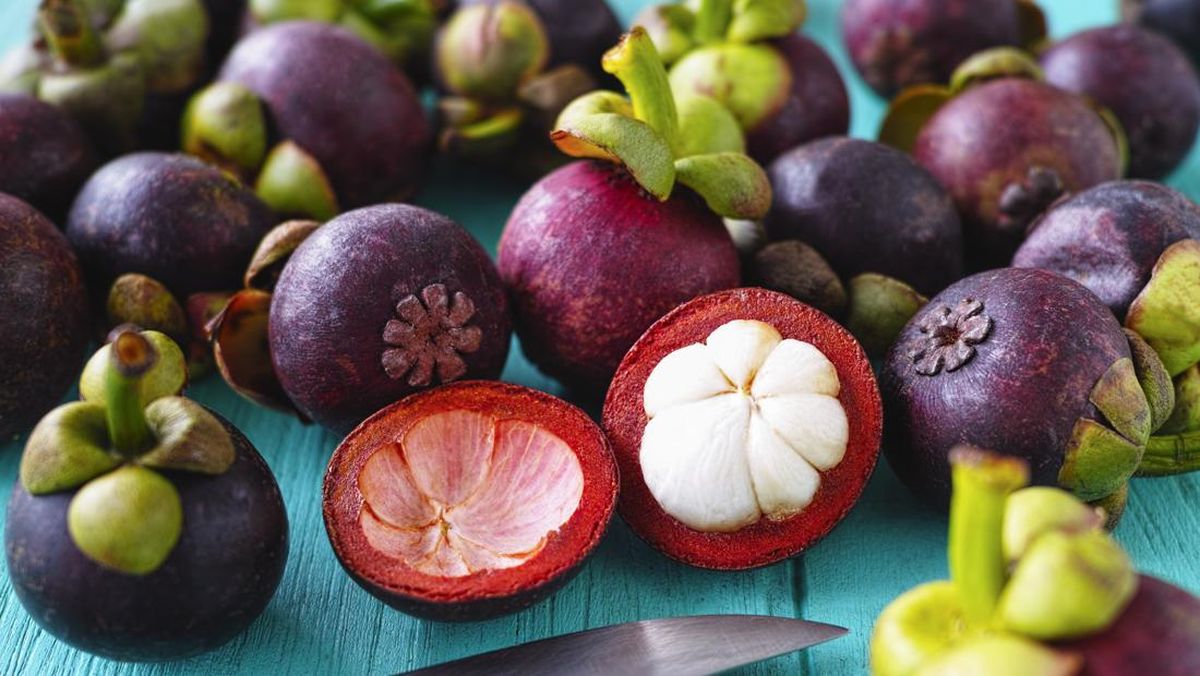 Emas Hitam dari Kalijaya: Menilik Potensi Manggis sebagai Komoditas Unggulan Desa