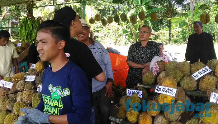 Menyulap Potensi Menjadi Destinasi: Desa Kalijaya Bidik Peluang Agrowisata Buah